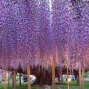 ヒメ日記 2025/05/14 09:20 投稿 稲葉レイ ウフフな40。ムフフな50。。（横浜ハレ系）