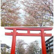 ヒメ日記 2026/04/10 09:43 投稿 稲葉レイ ウフフな40。ムフフな50。。（横浜ハレ系）