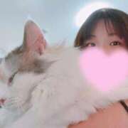 ヒメ日記 2025/11/28 15:46 投稿 七瀬 るな Prae(プラエ)