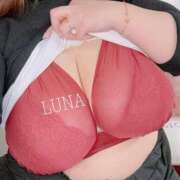 ヒメ日記 2025/11/29 12:42 投稿 七瀬 るな Prae(プラエ)