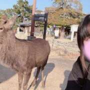 ヒメ日記 2026/01/19 17:55 投稿 七瀬 るな Prae(プラエ)