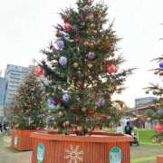 ヒメ日記 2024/12/19 07:32 投稿 あずさ ピンクコレクション大阪キタ店