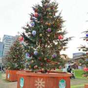 ヒメ日記 2024/12/19 07:32 投稿 あずさ ピンクコレクション尼崎店