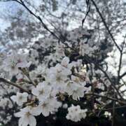 ヒメ日記 2025/04/17 19:06 投稿 ももか an_an（アンアン）