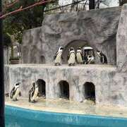 ヒメ日記 2025/05/06 16:09 投稿 ももか an_an（アンアン）