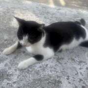 ヒメ日記 2025/09/07 18:22 投稿 ももか an_an（アンアン）