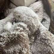 ヒメ日記 2026/01/25 03:08 投稿 ひなの 札幌回春性感マッサージ倶楽部