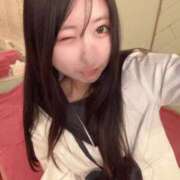 ヒメ日記 2025/04/25 08:09 投稿 ことり アロー