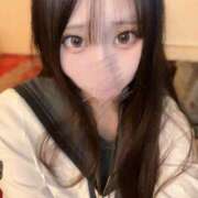 ヒメ日記 2025/04/26 08:03 投稿 ことり アロー