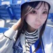 ヒメ日記 2025/04/29 08:04 投稿 ことり アロー