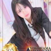 ヒメ日記 2025/05/02 19:21 投稿 ことり アロー