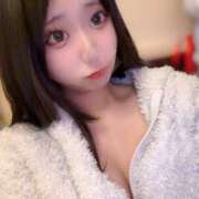 ヒメ日記 2025/05/04 08:02 投稿 ことり アロー