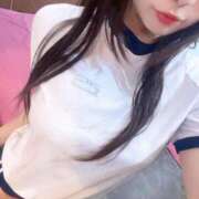 ヒメ日記 2025/05/08 19:06 投稿 ことり アロー