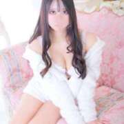 ヒメ日記 2025/05/09 08:03 投稿 ことり アロー