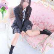 ヒメ日記 2025/05/20 08:03 投稿 ことり アロー