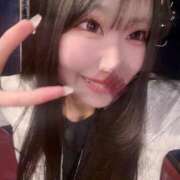 ヒメ日記 2025/05/29 09:19 投稿 ことり アロー