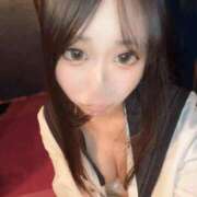 ヒメ日記 2025/06/11 07:58 投稿 ことり アロー