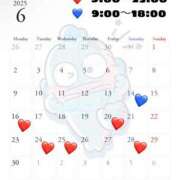 ヒメ日記 2025/06/11 18:51 投稿 ことり アロー