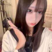 ヒメ日記 2025/06/16 08:01 投稿 ことり アロー