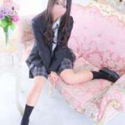 ヒメ日記 2025/06/25 07:59 投稿 ことり アロー