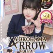 ヒメ日記 2026/06/06 15:05 投稿 ことり アロー