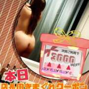 ヒメ日記 2025/04/12 12:14 投稿 めい★(泡洗体) ぽっちゃり女神 あぷろでぃーて