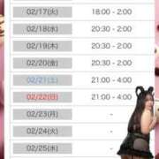 ヒメ日記 2026/02/14 10:48 投稿 みなも★(イラマチオ無料） ぽっちゃり女神 あぷろでぃーて