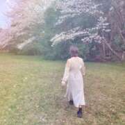 ヒメ日記 2025/04/08 16:43 投稿 かさね/★★フルオプション★★ ハレンチ倶楽部　神戸店