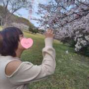 ヒメ日記 2025/04/08 19:43 投稿 かさね/★★フルオプション★★ ハレンチ倶楽部　神戸店