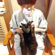 ヒメ日記 2025/07/27 16:43 投稿 かさね/★★フルオプション★★ ハレンチ倶楽部　神戸店