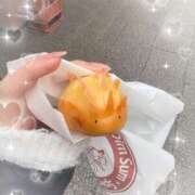 ヒメ日記 2025/12/12 07:36 投稿 めい ビデオdeはんど 町田校