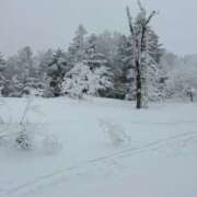 めい 来てくれる、？🥺 ビデオdeはんど 町田校