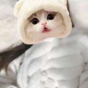 ヒメ日記 2025/02/20 21:30 投稿 えな チューリップ姫路店