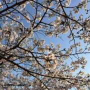 ヒメ日記 2025/04/06 21:20 投稿 えな チューリップ姫路店