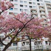 ヒメ日記 2025/03/28 09:20 投稿 高岡 松戸おかあさん