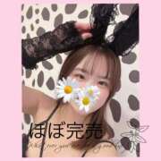 ヒメ日記 2025/02/01 23:47 投稿 こと One More 奥様　五反田店