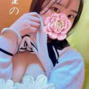 ヒメ日記 2025/03/17 13:17 投稿 こと One More 奥様　五反田店