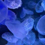 ヒメ日記 2025/10/03 11:23 投稿 りの 府中ダービー