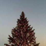 ヒメ日記 2025/12/16 22:04 投稿 りの 府中ダービー