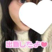 ヒメ日記 2024/12/24 17:44 投稿 れおな 京都出張メンズエステChou Chou（シュシュ)