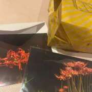 ヒメ日記 2025/11/08 18:56 投稿 れみ アイドルドリーム