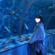 ヒメ日記 2026/03/06 19:09 投稿 れみ アイドルドリーム