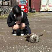 ヒメ日記 2026/04/22 20:14 投稿 れみ アイドルドリーム