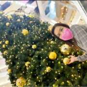 ヒメ日記 2024/12/24 00:39 投稿 かな 逢って30秒で即尺