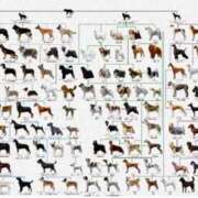 ヒメ日記 2025/08/11 19:54 投稿 かな 逢って30秒で即尺