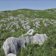 ヒメ日記 2026/02/15 09:37 投稿 かな 逢って30秒で即尺