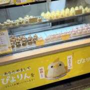 ヒメ日記 2026/06/05 17:07 投稿 かな 逢って30秒で即尺