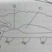 ヒメ日記 2025/07/16 13:39 投稿 宮脇かりな＠19歳変態好き大学生 アナラードライ