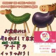 ヒメ日記 2025/08/08 19:06 投稿 宮脇かりな＠19歳変態好き大学生 アナラードライ