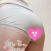 ヒメ日記 2024/12/20 14:47 投稿 まこと OKINI八王子